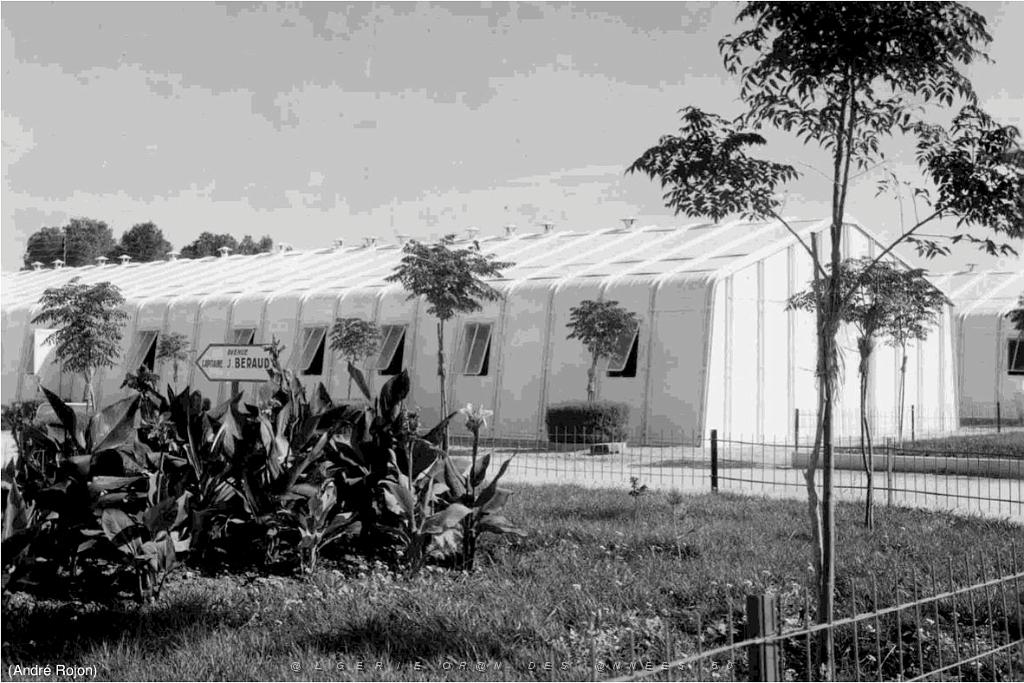 123 - AERODROMES ET BASES 1945-1962-1-TELERGMA BA 211 (21).jpg